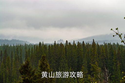 黃山風景區(qū)旅游攻略，求游黃山攻略