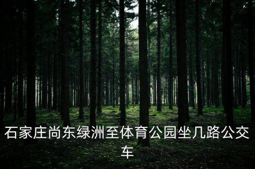 石家莊尚東綠洲至體育公園坐幾路公交車