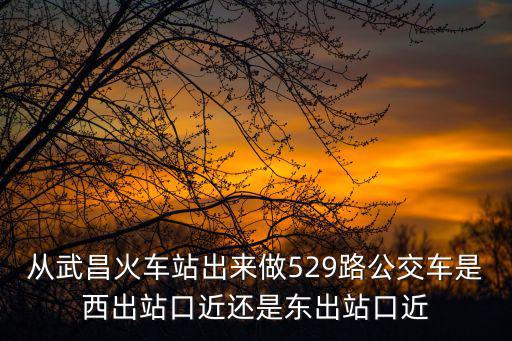 從武昌火車站出來(lái)做529路公交車是西出站口近還是東出站口近