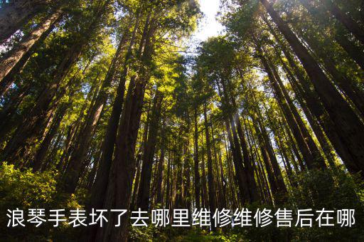 浪琴手表壞了去哪里維修維修售后在哪