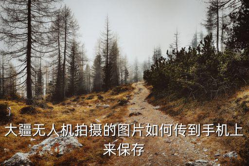 大疆無人機拍攝的圖片如何傳到手機上來保存