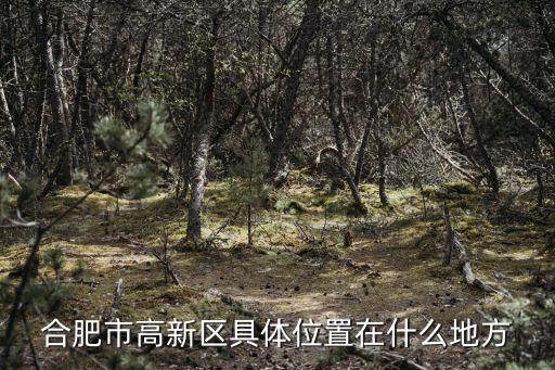 合肥市高新區具體位置在什么地方