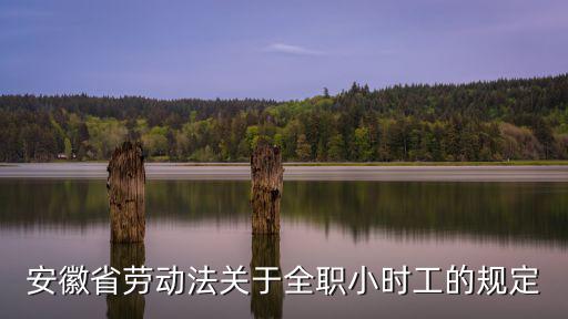 安徽省勞動法關于全職小時工的規定