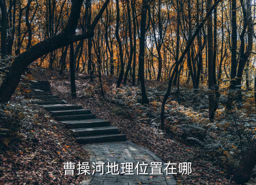 江淮運河，江淮運河肥西上派河段什么時間開工