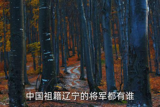 邱崗，舒城棠樹邱崗村會拆嗎