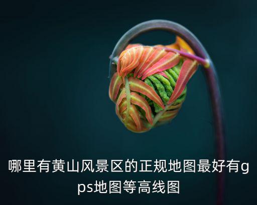 哪里有黃山風景區的正規地圖最好有gps地圖等高線圖