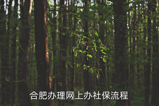 合肥辦理網(wǎng)上辦社保流程