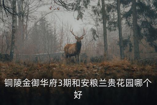 銅陵金御華府3期和安糧蘭貴花園哪個好