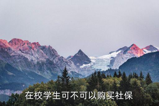 學生能交社保嗎，在校生可以交社保嗎