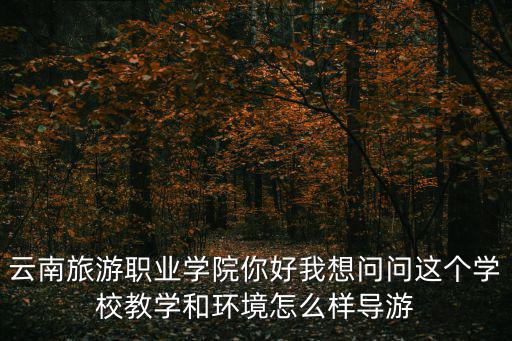 云南旅游職業學院你好我想問問這個學校教學和環境怎么樣導游