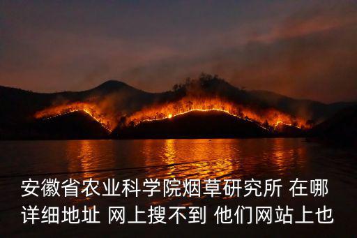 安徽省農(nóng)業(yè)科學(xué)院煙草研究所 在哪 詳細(xì)地址 網(wǎng)上搜不到 他們網(wǎng)站上也