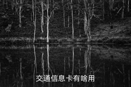 交通信息卡，交通信息卡有啥用