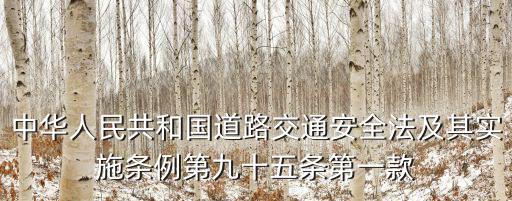 中華人民共和國道路交通安全法及其實施條例第九十五條第一款