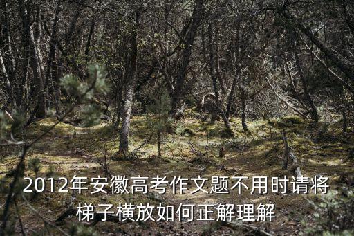 2012年安徽高考作文題不用時(shí)請將梯子橫放如何正解理解