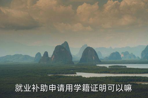 就業補助申請用學籍證明可以嘛