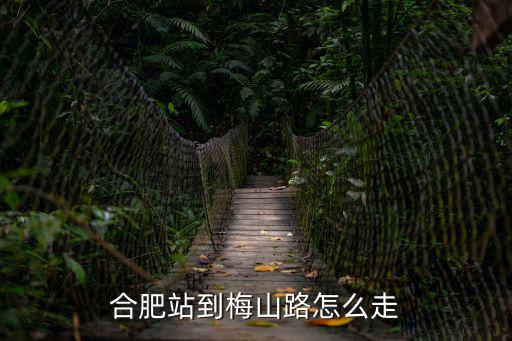 合肥站到梅山路怎么走