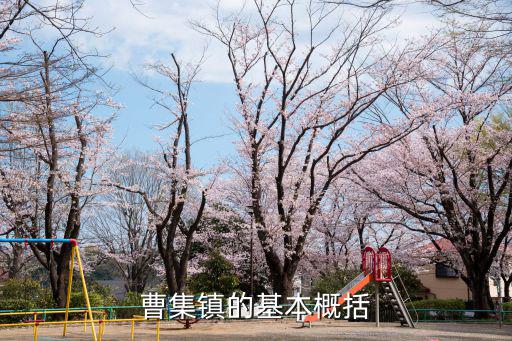 曹集鎮的基本概括