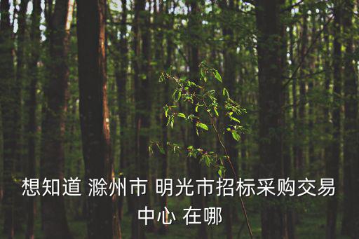 想知道 滁州市 明光市招標采購交易中心 在哪