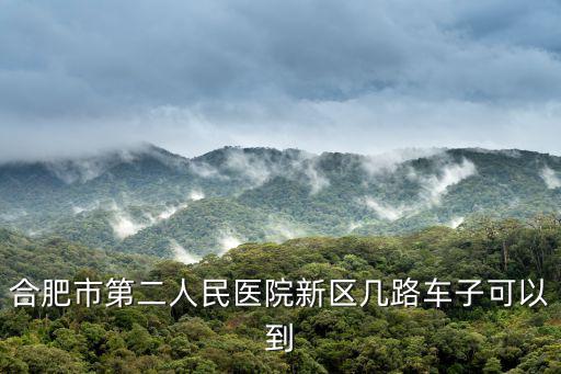 合肥市第二人民醫(yī)院，合肥市第二人民醫(yī)院新區(qū)幾路車(chē)子可以到