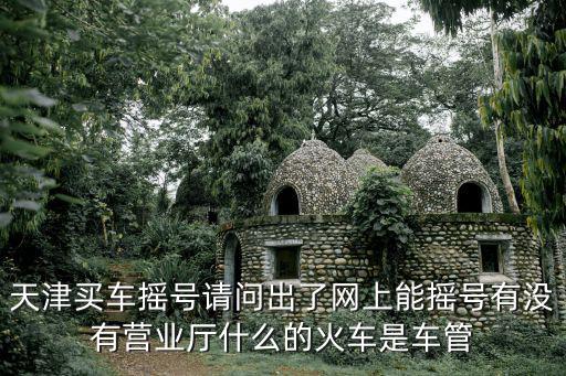 天津買車搖號請問出了網上能搖號有沒有營業廳什么的火車是車管