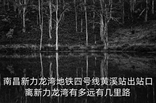 南昌新力龍灣地鐵四號線黃溪站出站口離新力龍灣有多遠有幾里路