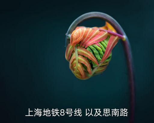 上海地鐵8號線 以及思南路