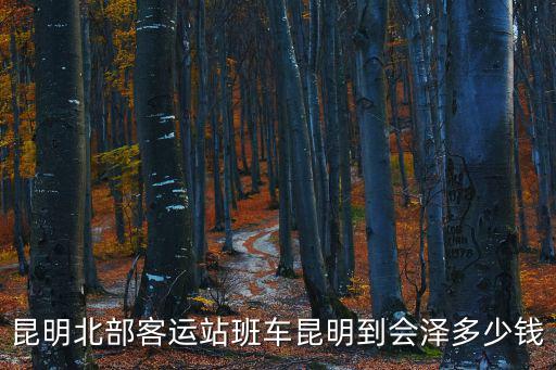 昆明北部客運站班車昆明到會澤多少錢