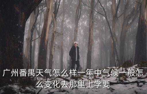 廣州番禺天氣怎么樣一年中氣候一般怎么變化去那里上學(xué)要
