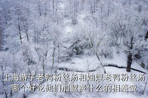 妯娌老鴨粉絲湯，尋求上海妯娌老鴨粉絲湯湯料配方