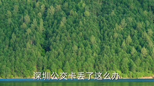 深圳公交卡丟了這么辦
