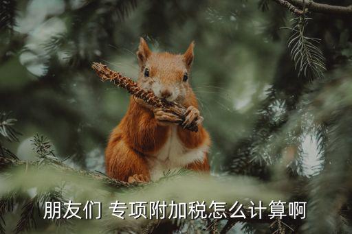 專項附加稅，個稅專項附加扣除包括哪些項目