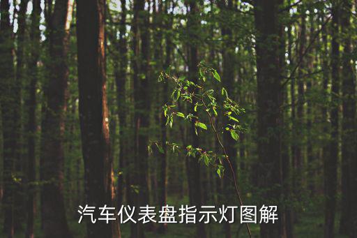 汽車儀表盤指示燈圖解