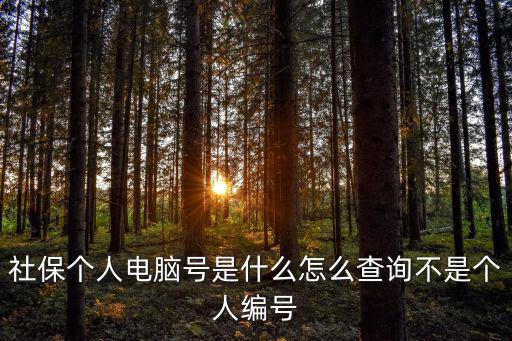 社保個人電腦號是什么怎么查詢不是個人編號