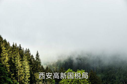 西安高新國(guó)稅局