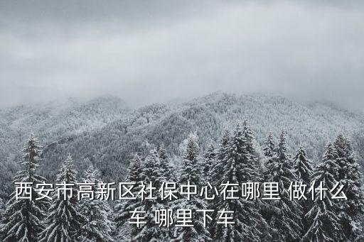 高新區(qū)社保，西安高新社保中心在哪啊