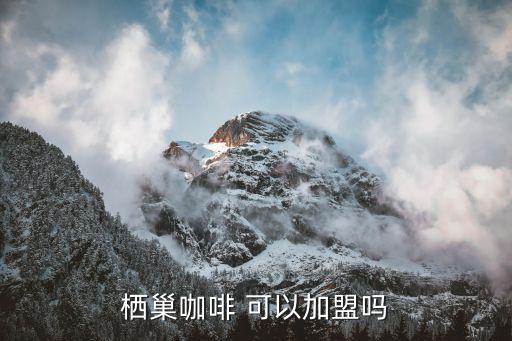 棲巢咖啡 可以加盟嗎