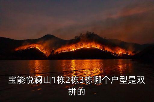 寶能悅瀾山1棟2棟3棟哪個戶型是雙拼的