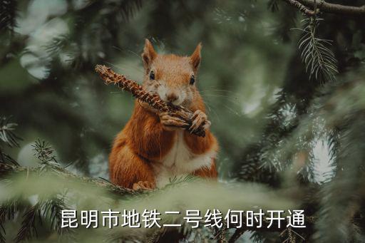 昆明2號線，昆明市地鐵二號線何時開通