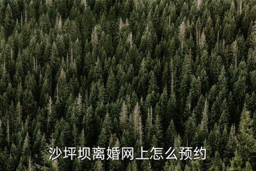 沙坪壩離婚網(wǎng)上怎么預(yù)約