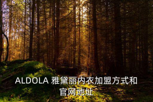 ALDOLA 雅黛麗內衣加盟方式和官網地址