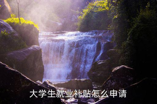 大學生就業補貼怎么申請