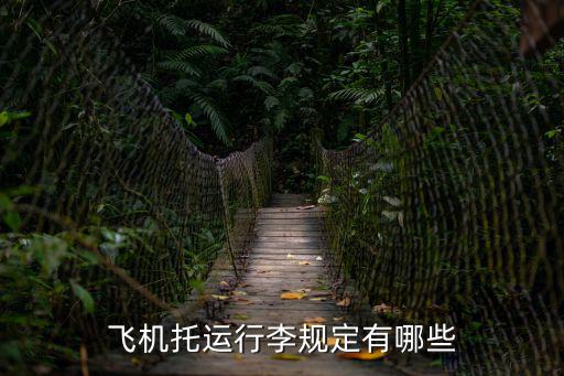 飛機托運行李規定有哪些
