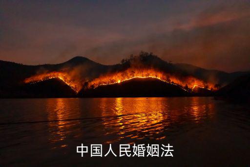 中國人民婚姻法