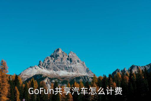 GoFun共享汽車怎么計費