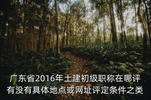廣東省2016年土建初級(jí)職稱在哪評(píng)有沒有具體地點(diǎn)或網(wǎng)址評(píng)定條件之類