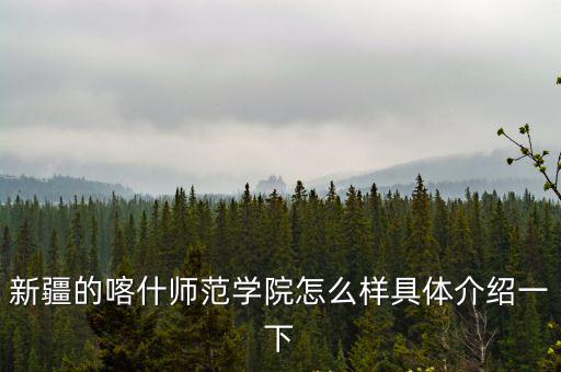 喀什師范學(xué)院，新疆的喀什師范學(xué)院怎么樣具體介紹一下