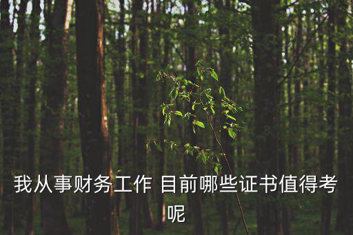 我從事財務工作 目前哪些證書值得考呢