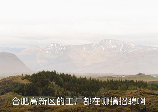 合肥高新區(qū)的工廠都在哪搞招聘啊