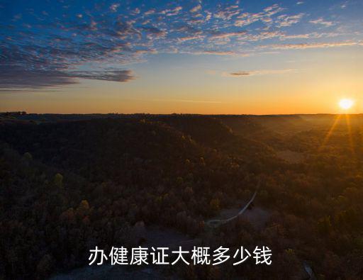 辦健康證大概多少錢