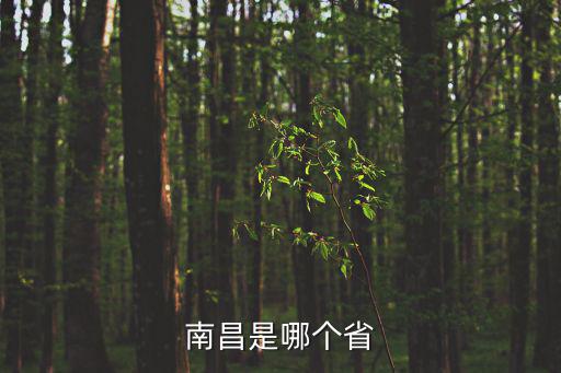 南昌是哪個省